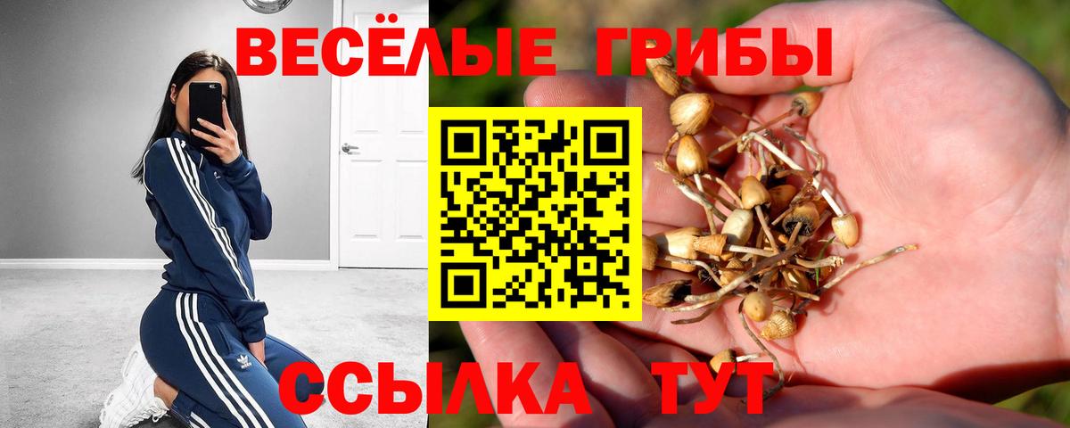 Псилоцибиновые грибы GOLDEN TEACHER  Вход с VPN  Дивногорск 